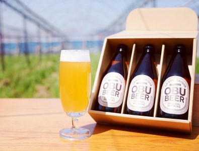 巨峰を使ったすっきりな味わいのクラフトビールOBUBEER【巨峰】 3本セット // ビール ビールセット