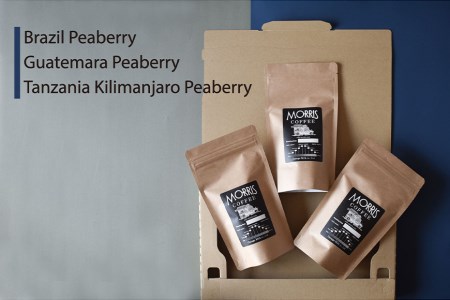 粉・粗挽き（パーコレーター）希少！ピーベリーコーヒー3種マスターおすすめ飲み比べ＜カフェモーリス厳選＞ //コーヒー ピーベリーコーヒー