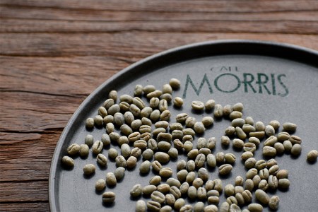 粉・粗挽き（パーコレーター）希少！ピーベリーコーヒー3種マスターおすすめ飲み比べ＜カフェモーリス厳選＞ //コーヒー ピーベリーコーヒー