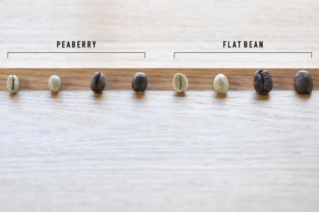 ＜ブラジル ピーベリー＞煎りたて、挽きたて！ドリップコーヒー10袋＋オリジナルカップ（グレー）