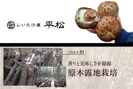 愛知県知多市産原木生椎茸 露地栽培 原木 しいたけ シイタケ どんこ 肉厚 きのこ キノコ 茸 野菜 出汁 だし 料理 調理 和食 中華 洋食 鍋 味噌汁 うどん 煮物 希少 セット 国産 愛知県 知多市 特産品