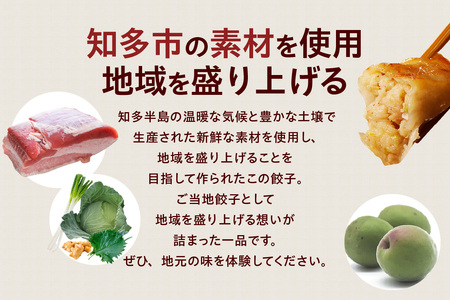 知多の梅しそ餃子・知多餃子セット 餃子食べ比べセット 愛知県産 ご当地餃子 国産 生餃子 梅 梅しそ おかず ぎょうざ ギョウザ 冷凍食品 お惣菜 豚肉 中華 点心 お取り寄せ おつまみ 国産野菜 贈答用 便利 焼くだけ お手軽 晩御飯 愛知県 知多市