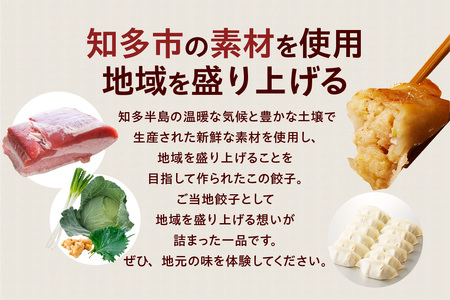 知多餃子 愛知県産 ご当地餃子 国産 生餃子 おかず ぎょうざ ギョウザ 冷凍食品 お惣菜 豚肉 中華 点心 お取り寄せ おつまみ 国産野菜 贈答用 便利 焼くだけ お手軽 晩御飯 愛知県 知多市