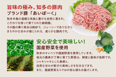 知多餃子 愛知県産 ご当地餃子 国産 生餃子 おかず ぎょうざ ギョウザ 冷凍食品 お惣菜 豚肉 中華 点心 お取り寄せ おつまみ 国産野菜 贈答用 便利 焼くだけ お手軽 晩御飯 愛知県 知多市