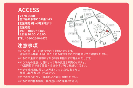 【2026年1月~実施】 いちご狩りチケット 幼児(3歳以上小学校入学前)1名様 苺 イチゴ 苺狩り レジャー 体験チケット お出かけ 愛知県 知多市