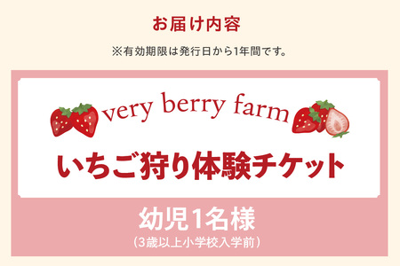 【2026年1月~実施】 いちご狩りチケット 幼児(3歳以上小学校入学前)1名様 苺 イチゴ 苺狩り レジャー 体験チケット お出かけ 愛知県 知多市