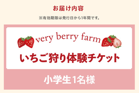 【2026年1月～実施】 いちご狩りチケット 小学生 1名様 苺 イチゴ 苺狩り レジャー 体験チケット お出かけ 愛知県 知多市