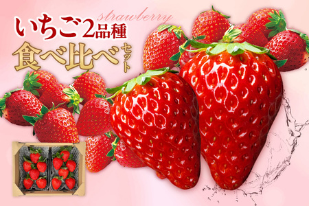 ★先行予約★【期間限定】いちご 2品種 食べ比べセット 苺 イチゴ あきひめ 紅ほっぺ おいCベリー かおり野 フルーツ ビタミン 愛知県 知多市