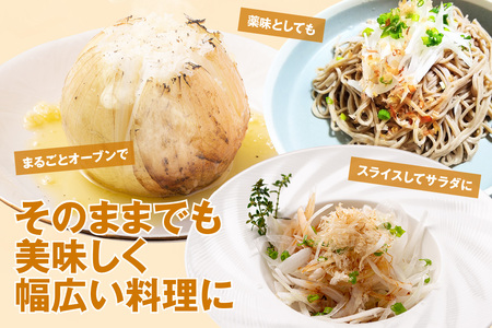 ★先行予約★ 葉付き玉ねぎ タマネギ たまねぎ 20個 新玉ねぎ 旬 早生 野菜 愛知 愛知県 知多 知多市