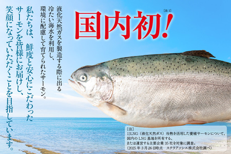 知多クールサーモン(ペッパーサーモン　100g×5パック) 数量限定 スモークサーモン ブラックペッパー 鮭 さけ 魚 海鮮 魚介類 おつまみ スモーク オードブル おかず 惣菜 お取り寄せ 冷凍 国産 燻製 愛知県 知多市 特産品