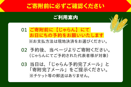 【期間限定】とうもろこし収穫体験（1グループ分） とうもろこし狩り 収穫 とうもろこし 新鮮 収穫体験 採れたて ゴールドラッシュ 鈴木農園 愛知県 知多市