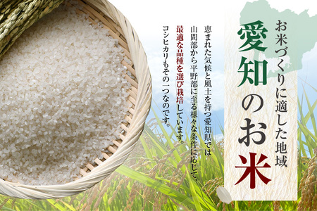 知多米　こしひかり5kg お米 白米 うるち米 おこめ 国産 精米 ご飯 おにぎり 朝ごはん ライス 和食 日本食 主食 食卓 お弁当 コシヒカリ 甘み 粘り 知多半島 お取り寄せ 5キロ 愛知県 知多市 特産品