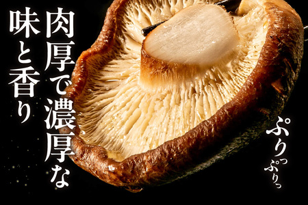 原木干し椎茸の旨煮 170g×3パック 味付しいたけ 甘煮 無添加 国産 便利 きのこ キノコ 茸 野菜 料理 ごはん うどん ちらし寿司 お取り寄せ グルメ 露地栽培 愛知県 知多市 特産品