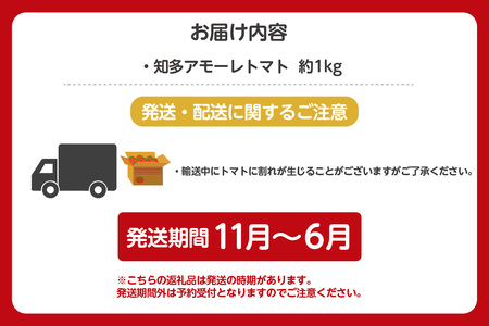 【先行予約】【11月中旬から順次発送】有機栽培ミニトマト　知多アモーレトマト　約1kg 甘い 濃い 旨味 安心 栄養 リコピン 高糖度 フルーツトマト 有機肥料 化学肥料不使用 袋培地栽培 野菜 お取り寄せ 愛知県 知多市 知多半島 特産品