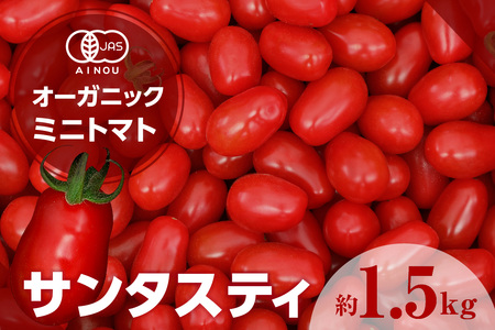 オーガニックミニトマト（サンタスティ）約1.5kg 甘い 濃い 旨味 安心 栄養 リコピン 高糖度 やみつき おやつ 縦長 フルーティー サラダ 有機栽培 化学肥料不使用 オーガニック 野菜 お取り寄せ 愛知県 知多市 特産品