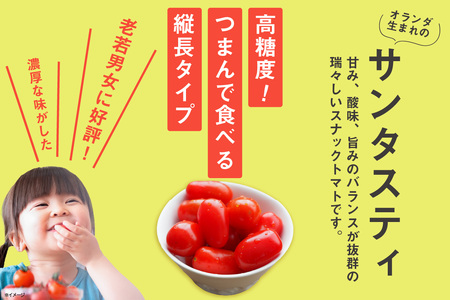 【全6回定期便】オーガニックミニトマト（サンタスティ）約1.5kg
