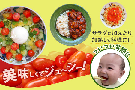 【全6回定期便】オーガニックミニトマト（サンタスティ）約1.5kg