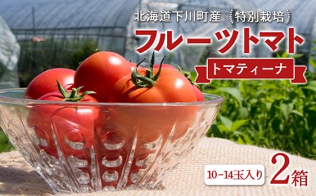 先行受付 令和4年度産 特別栽培 フルーツトマト トマティーナ 2箱 北海道下川町 ふるさと納税サイト ふるなび