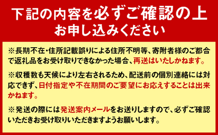 【先行予約】 令和7年産 10～15玉前後 糖度8.0度以上 北はるか産 フルーツトマト はるかエイト 2箱 フルーツ トマト グルメ 故郷 ふるさと 納税 国産 北海道産 北海道 下川町 F4G-0110