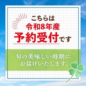 【先行予約】令和8年産グリーンアスパラガス 2kg Ｌサイズ（令和8年5月中旬～6月中旬頃発送）アスパラ F4G-0284