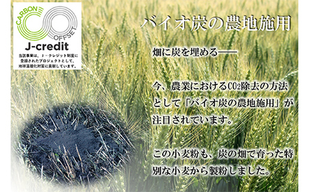 北海道下川町産強力粉はるゆたか100% 12kg バイオ炭施用 カーボン・オフセット付 F4G-0198