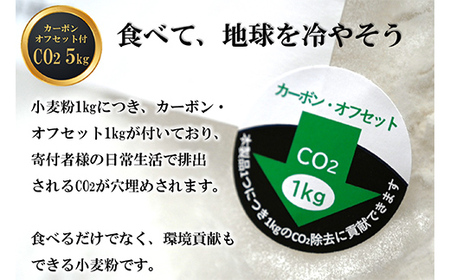 北海道下川町産薄力粉きたほなみ100% 5kg バイオ炭施用 カーボン・オフセット付 F4G-0199
