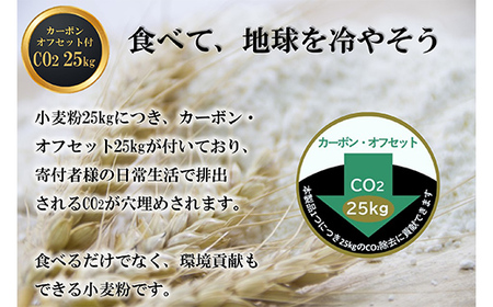北海道下川町産強力粉はるゆたか100% 25kg バイオ炭施用 カーボン・オフセット付 業務用紙袋 F4G-0219