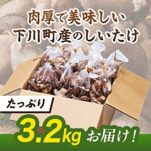 【2026年7月発送】 生しいたけ【形が悪いなどの訳あり品】3.2kg（200g×16袋） F4G-0273