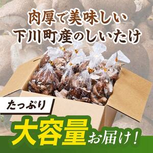 【2026年3月発送】 生しいたけ【形が悪いなどの訳あり品】1.6kg（200g×8袋） F4G-0319