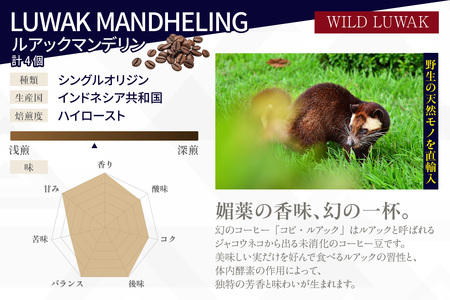 [№40-3235]３ドリップバッグ セット