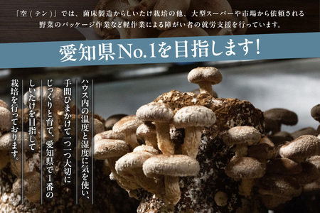 [№22-0022]空（テン）しいたけ