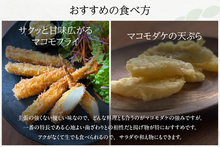 大分県産マコモダケ　（マコモタケ 業務用 真菰筍 5kg（25本前後／税込・送料別）他の商品との同包