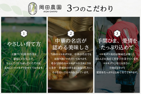 知立市特産 マコモタケ(1.3kg) (7~10本)(2124)