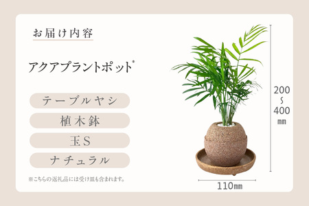 アクアプラントポット® 玉S 植木鉢テーブルヤシ(2129)