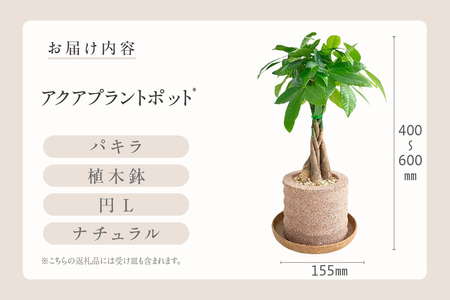 アクアプラントポット® 円L 植木鉢パキラ アクティカ(2136)