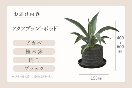 アクアプラントポット®　円Ｌ（ブラック） 植木鉢　アガベ（2102）