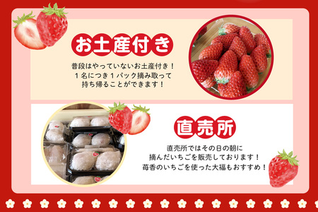 いちご狩り優待券（ペア）（3213）