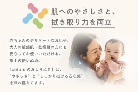 おしり拭き 80枚入り 12個セット（3215）