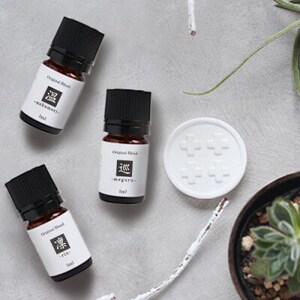 ease12ヶ月のブレンドオイル(5ml×3本)凛・温・巡+アロマストーンMONOセット【配送不可地域：沖縄県】【1423252】 10,500円