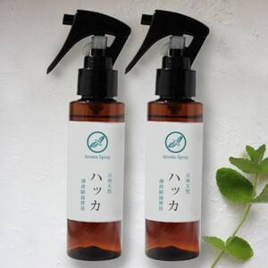 easeアロマスプレー ハッカ 100ml×2本 清涼感あふれる薄荷の香り