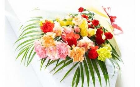 [切りたて直送] カーネーション花束 [0085]