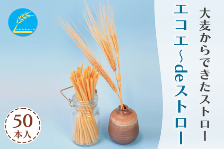 大麦からできたストロー「エコエ～deストロー」｜自然素材 エシカル SDGs エコ ストロー 麦わら [0751]