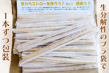 大麦からできたストロー「エコエ～deストロー」｜自然素材 エシカル SDGs エコ ストロー 麦わら [0751]