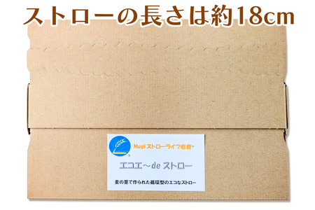 大麦からできたストロー「エコエ～deストロー」｜自然素材 エシカル SDGs エコ ストロー 麦わら [0751]