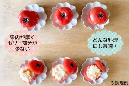 水耕栽培トマト大玉 定期便 3回 (ご入金翌月から発送開始)｜甘い 新鮮 完熟 とまと 大玉 直送 野菜 リコピン サラダ イタリアン [0816]