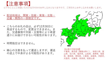 ダールフルット・イタリアンおせち三段重(3～4人前)【0232】