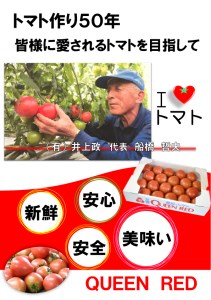 水耕栽培トマト詰め合わせ【0620】