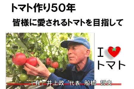 [予約受付] 水耕栽培トマト(大玉)｜甘い 新鮮 完熟 とまと 大玉 直送 野菜 リコピン サラダ イタリアン 【0621】