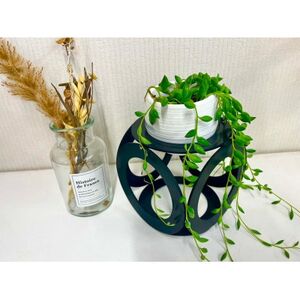 照艶の和 ーノーマルー【1510564】