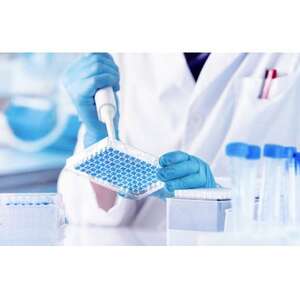 ジェノニクスの遺伝子検査 evigen advanced(エビジェン　アドバンスト) 受診券【1620123】